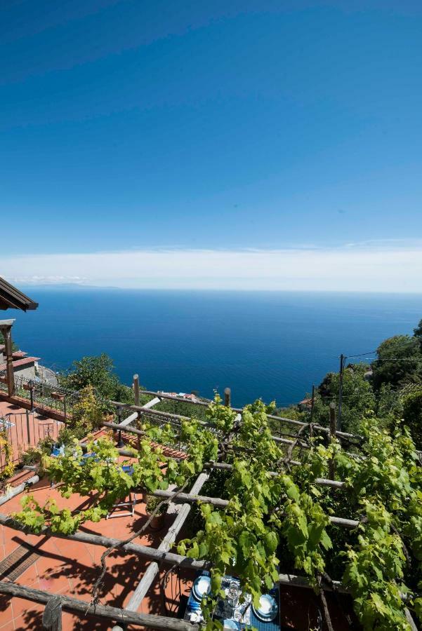 Residence Gioia Furore Εξωτερικό φωτογραφία
