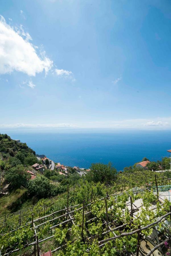 Residence Gioia Furore Εξωτερικό φωτογραφία